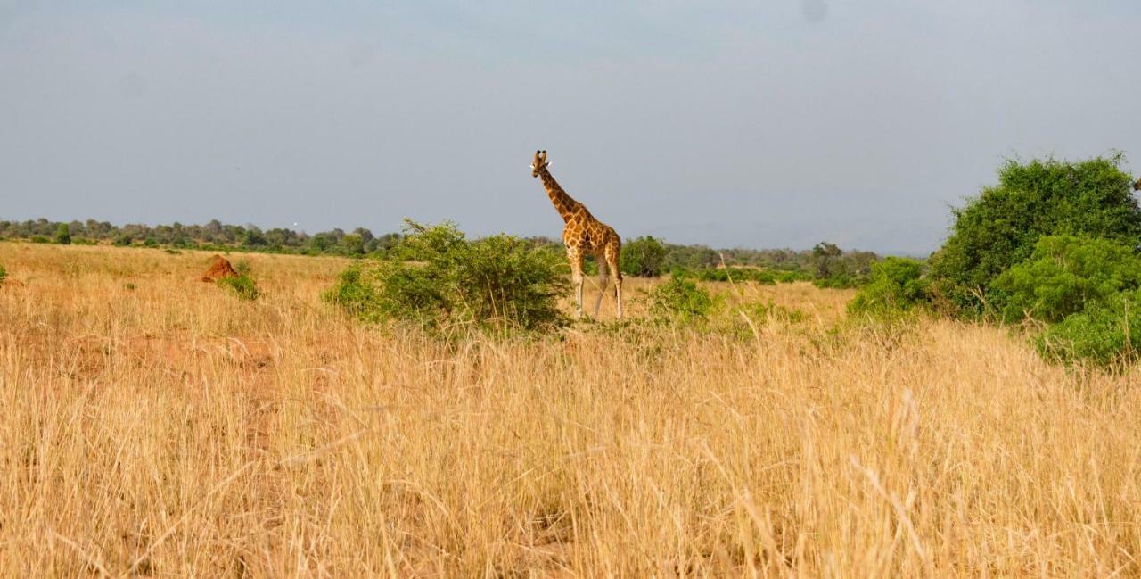 Sambiya River Lodge Karuma Экстерьер фото