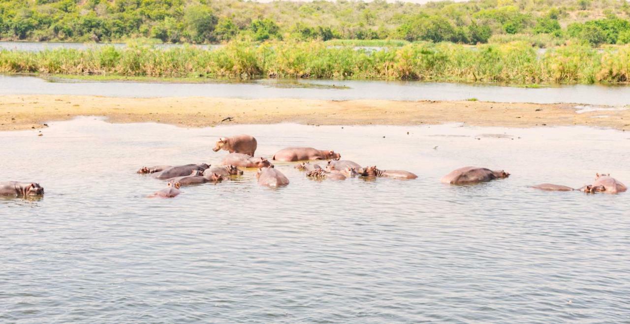 Sambiya River Lodge Karuma Экстерьер фото